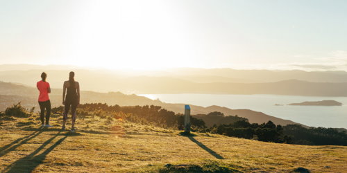 Wellington Regional Trails